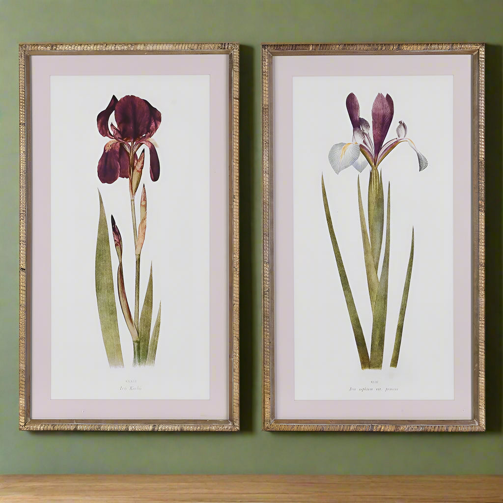 Set of Two Iris Framed Wall Art 70cm | Annie Mo's