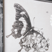 Set of Four Framed Butterfly Prints 60cm