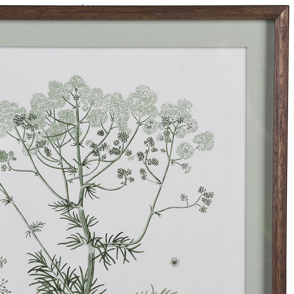 Set of Four Meadowsweet Collective Prints Each 70cm High | Annie Mo's-B
