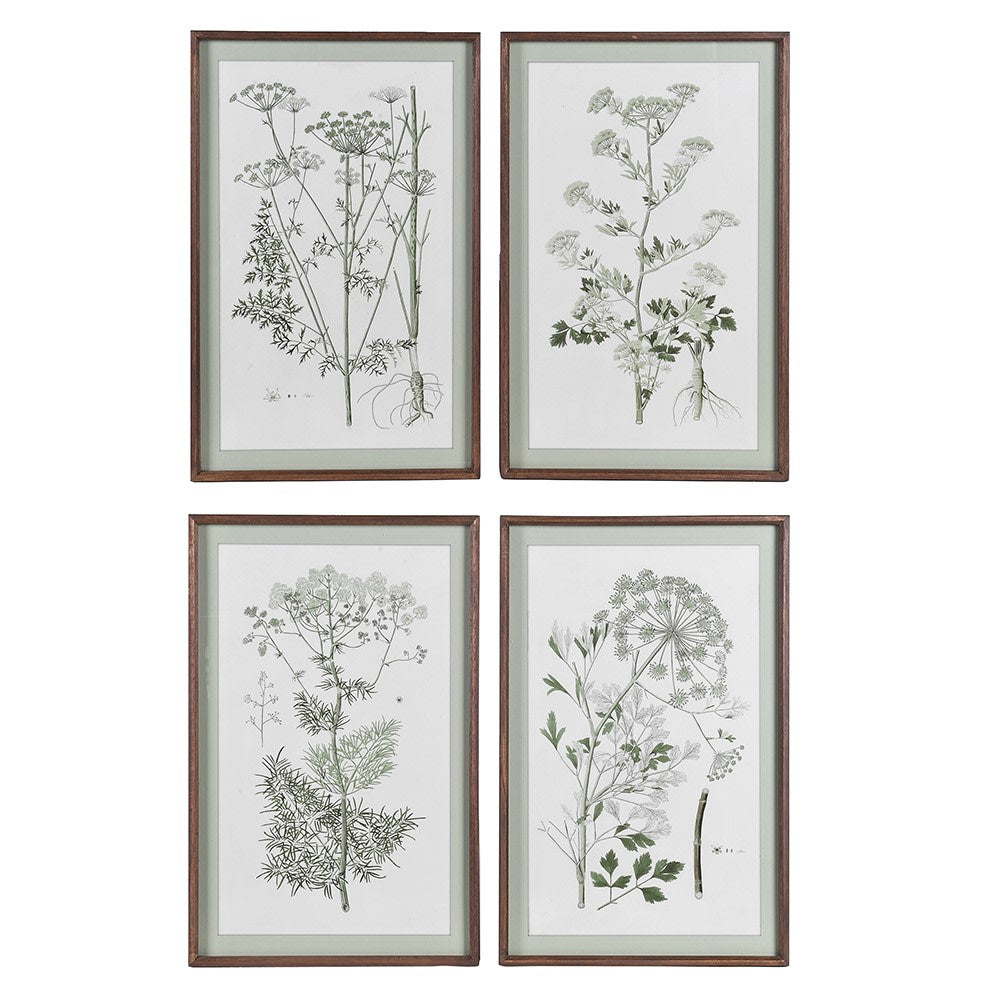 Set of Four Meadowsweet Collective Prints Each 70cm High | Annie Mo's