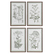 Set of Four Meadowsweet Collective Prints Each 70cm High | Annie Mo's