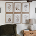 Set of Six Lavender Botanical Framed Prints 60cm | Annie Mo's