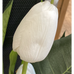 Set of Three Long Stem White Faux Tulips 65cm | Annie Mo's B