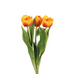 Set of Three Mixed Burnt Orange Faux Tulip Stems 39cm | Annie Mo's