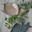 Set of Two Porcelain Galia Fish Plates 25cm | Annie Mo's B