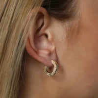 Shoal Earrings Gold | Annie Mo'