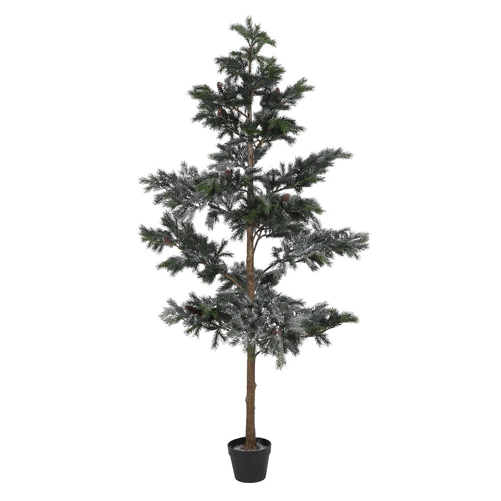 Snowy Pine Tree in Pot 183cm | Annie Mo's