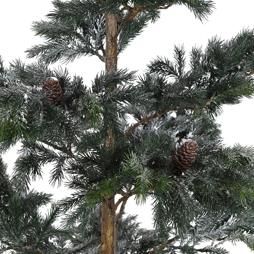 Snowy Pine Tree in Pot 183cm-B