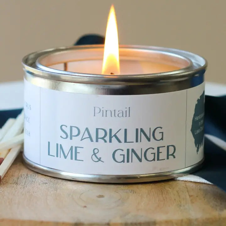 Sparkling Lime and Ginger Paint Pot | Annie Mo's