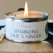 Sparkling Lime and Ginger Paint Pot | Annie Mo's