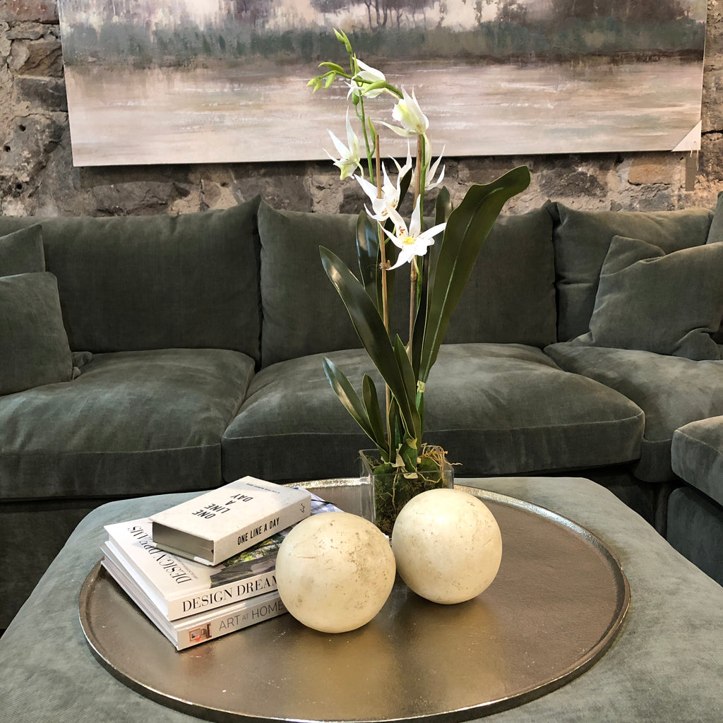 Spider Orchid with Moss in Glass Pot 49cm C