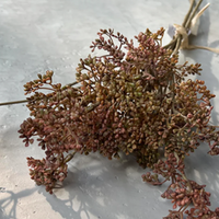 Sunset Meadow Sedge Stem 55cm | Annie Mo's