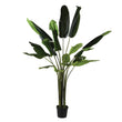 Tall Faux Strelitzia Plant in Black Plastic Pot 215cm | Annie Mo's