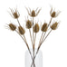 Teasel Bundle 85cm B