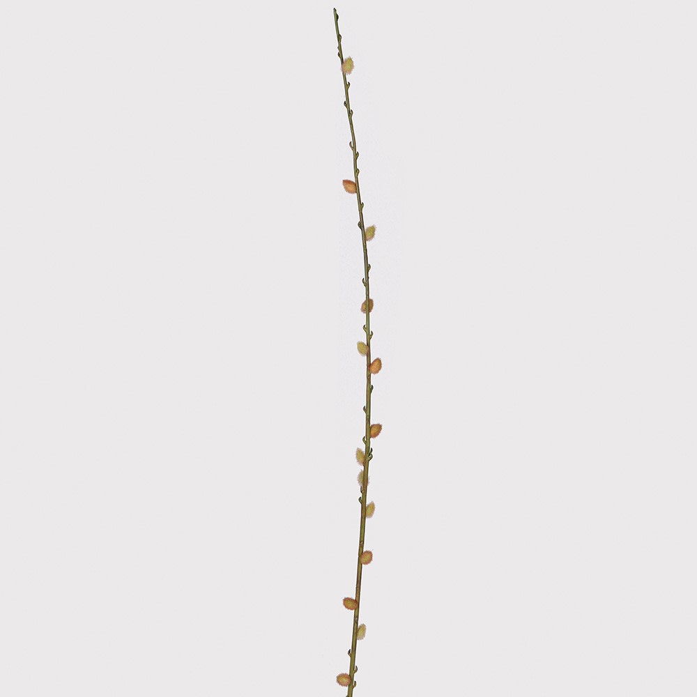 Touch of Blush Faux Pussy Willow Stem 120cm | Annie Mo's