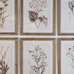 Set of Six Lavender Botanical Framed Prints 60cm