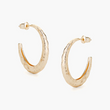 Vast Earrings Gold | Annie Mo's