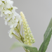 Veronica Spray White 74cm