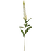 Veronica Spray White 74cm