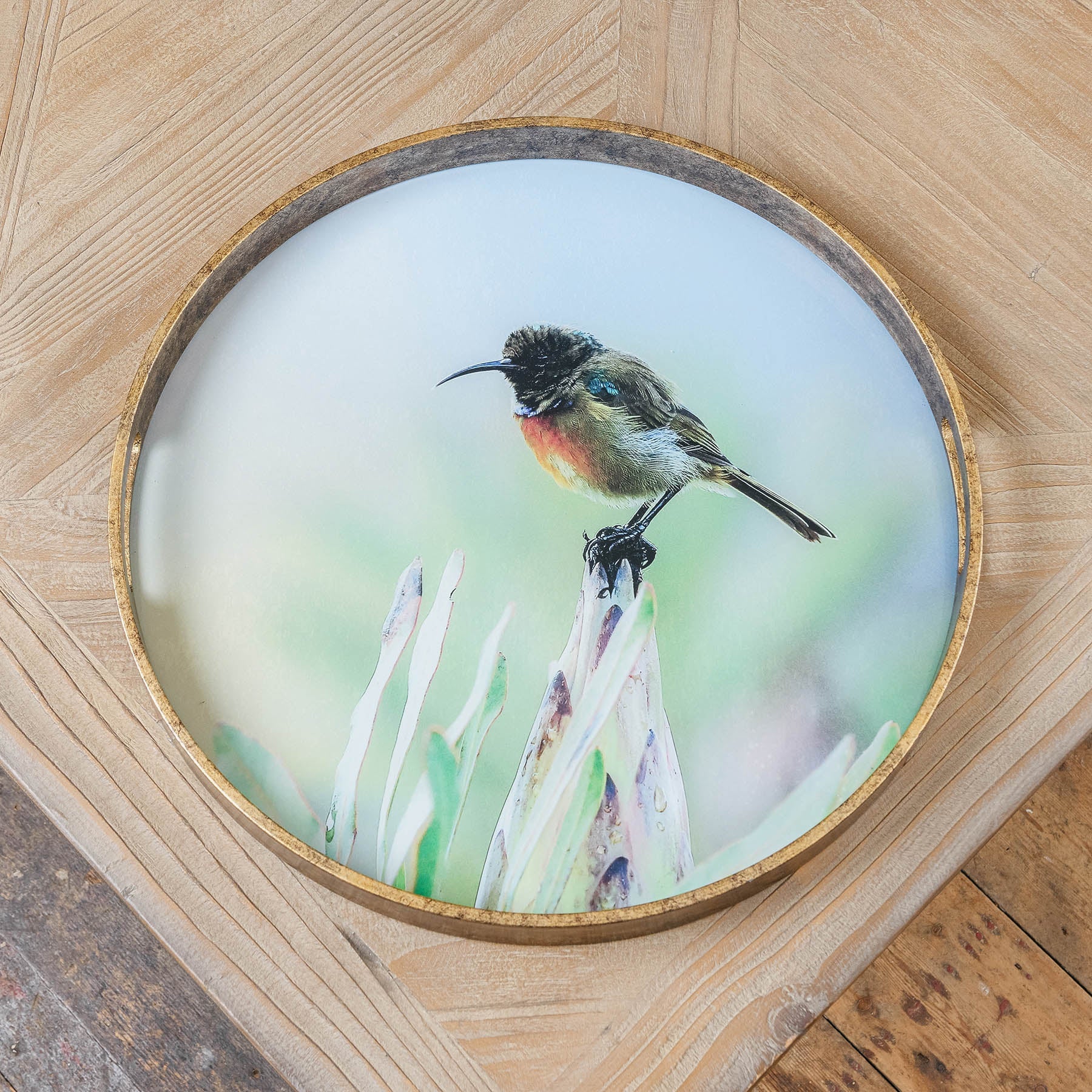 Waltham Round Bird Tray 45cm | Annie Mo's
