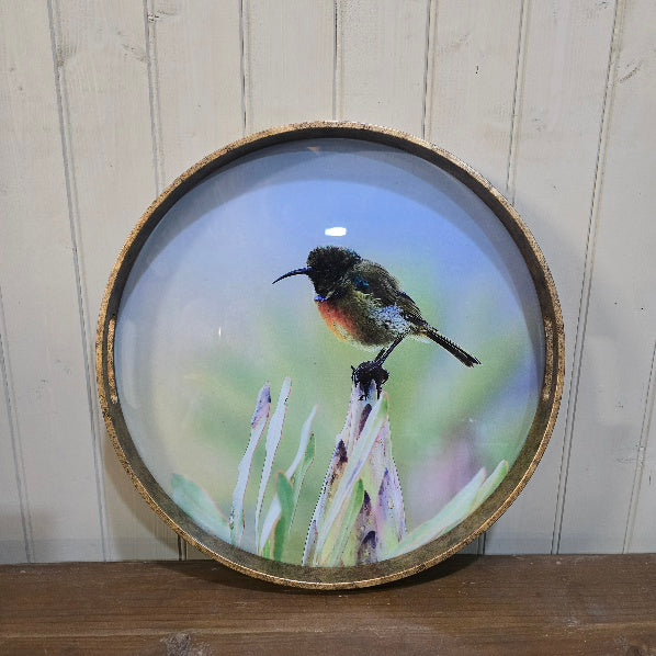 Waltham Round Bird Tray 45cm B | Annie Mo's