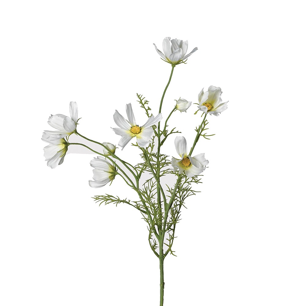 White Cosmos Spray 65cm | Annie Mo's