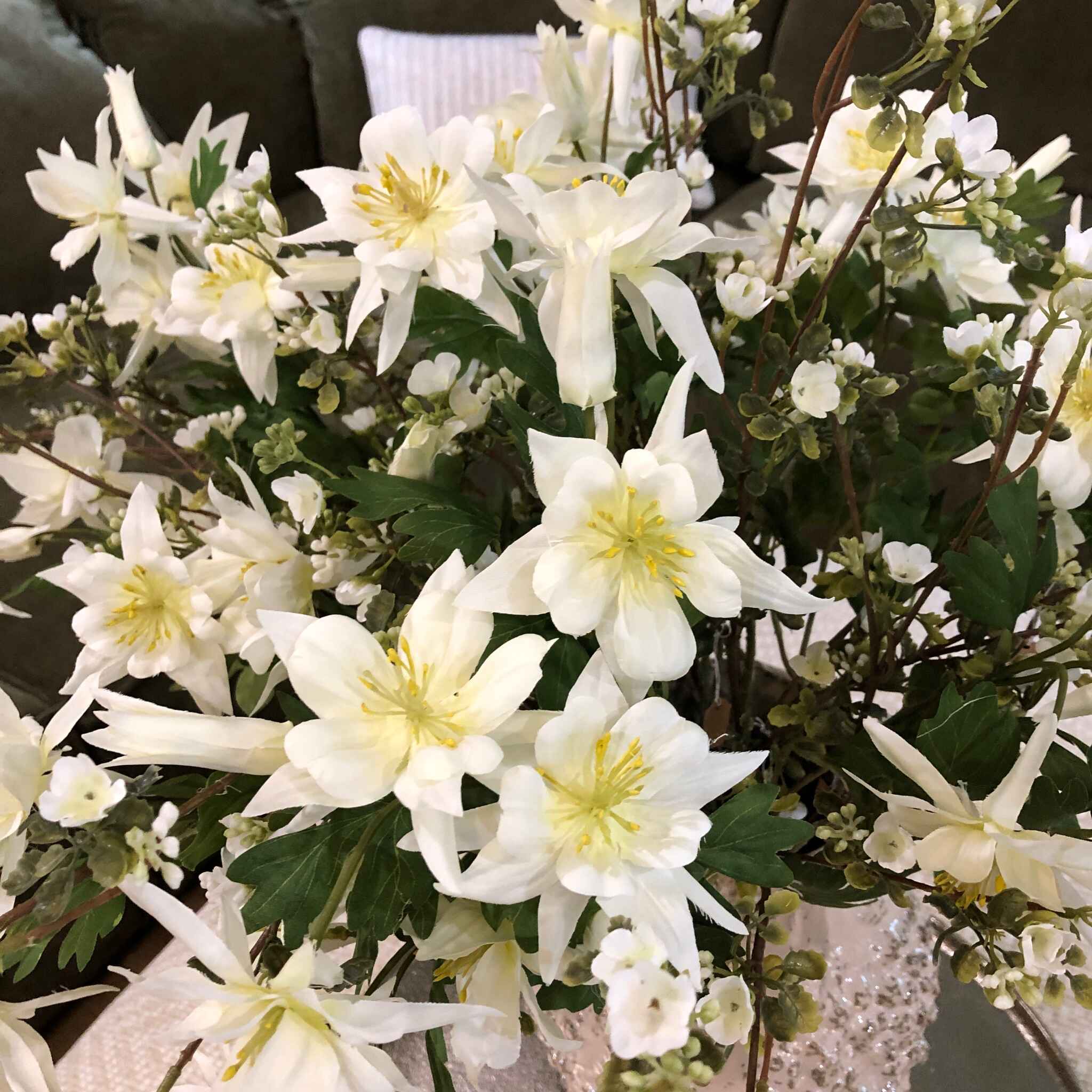 White Aquilegia Spray with Leaves