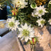 White Aquilegia Spray with Leaves 68cm E