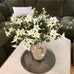 White Aquilegia Spray with Leaves 68cm C