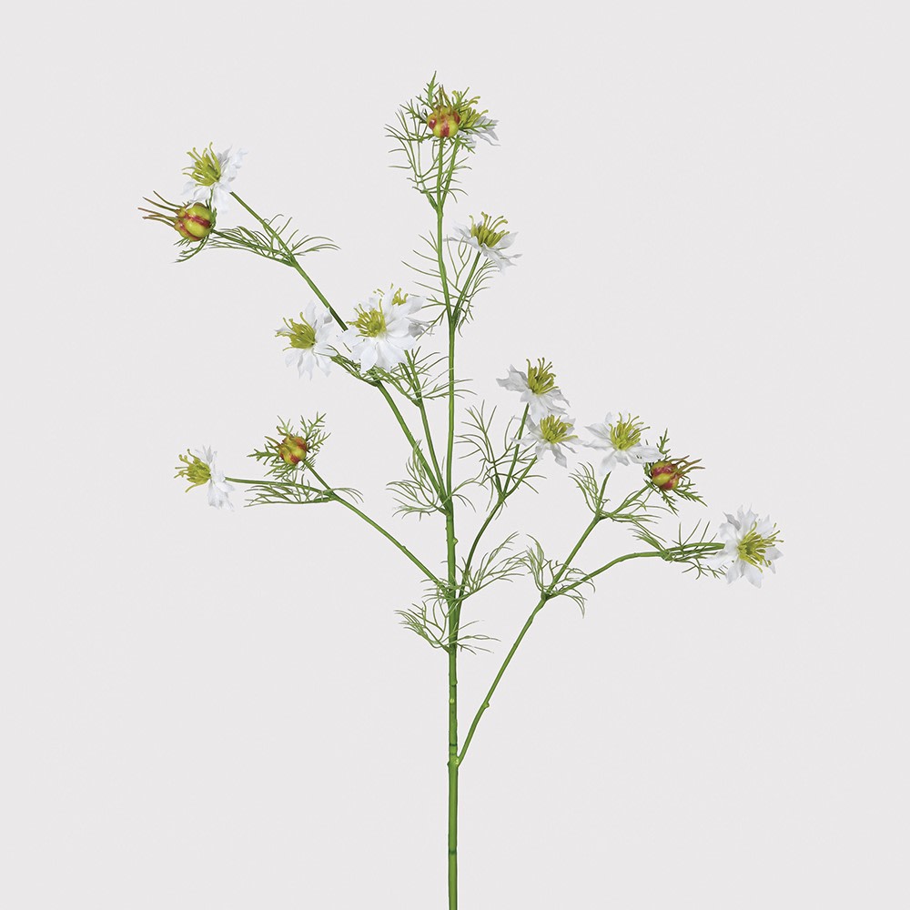 White Nigella 'Love in a Mist' Spray 80cm | Annie Mo's