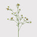 White Nigella 'Love in a Mist' Spray 80cm | Annie Mo's