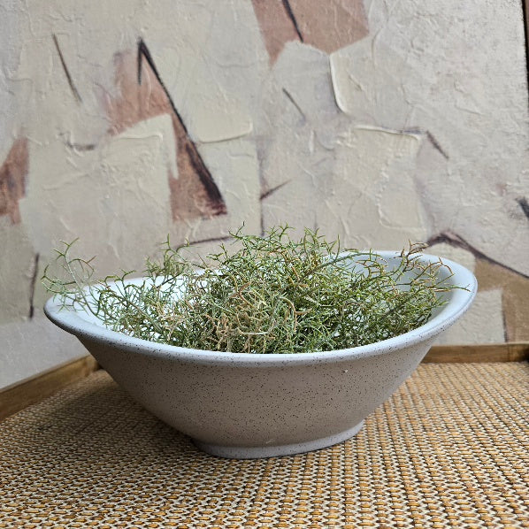 White Organically Shaped Serving Bowl 1