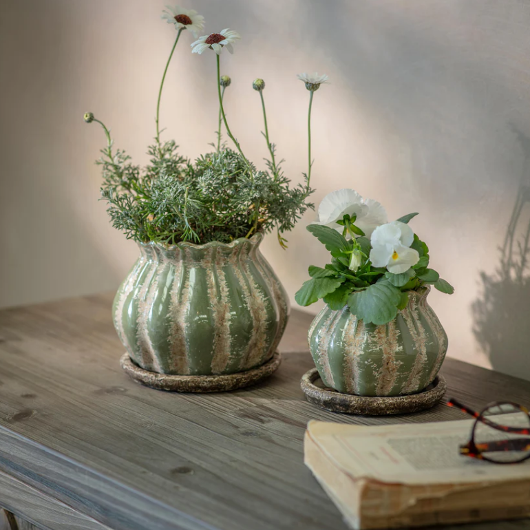 Wickham Planter - Size Choice | Annie Mo's