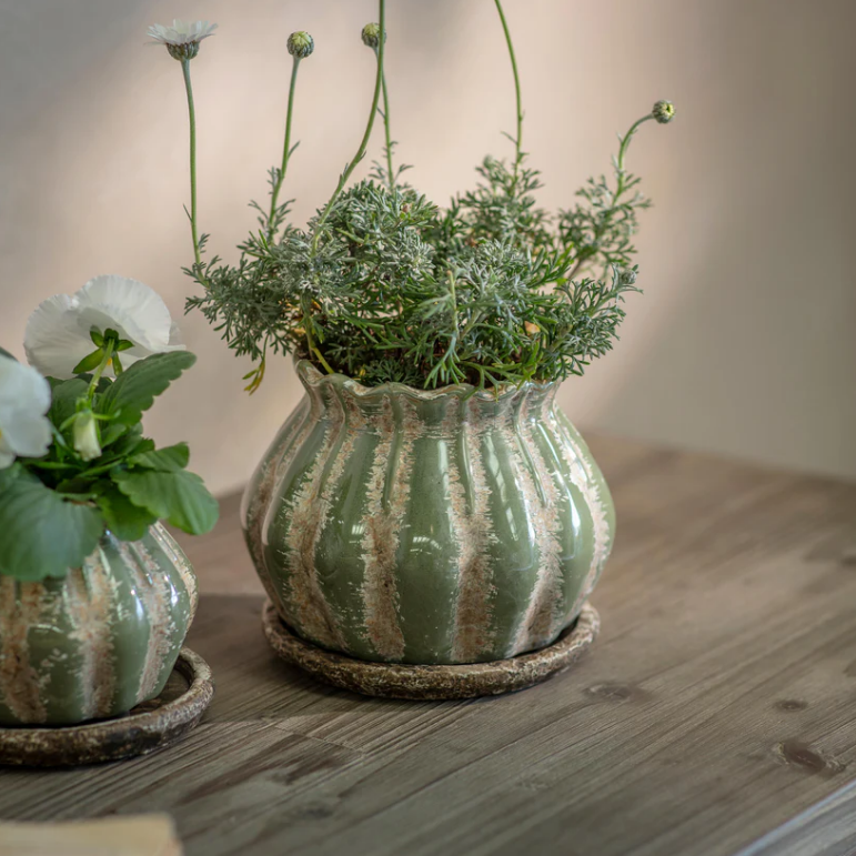 Wickham Planter - L | Annie Mo's