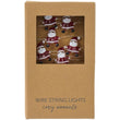 Wire String Lights with Twenty Satna Lights | Annie Mo's