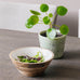 Appleton Tapered Round Small Wooden Bowl