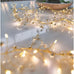 Golden Glow 100 warm white LEDs - Battery Operated
