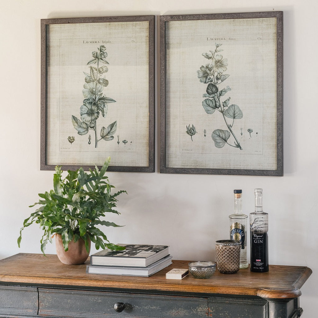 Set of Two Framed Lavatera Prints 75cm