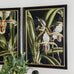 Set of Two Framed Lily Prints 70cm