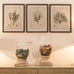 Brockby Set of Three Wooden Framed Botanical Wall Art