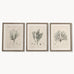 Brockby Set of Three Wooden Framed Botanical Wall Art