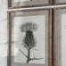 Set of Four Framed Poppy Monochrome Prints 70cm