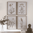 Ashmore Set of 4 Yellow Botanical Framed Prints 70cm