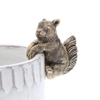 Golden Front Squirrel Pot Hanger 8cm
