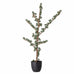 Artificial Green Adora Tree 85cm | Annie Mo's