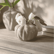 Lulworth Globe Vase | Annie Mo's