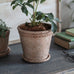 Milston Frost Proof Idyllic Round Rustic Planters - Size Choice