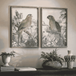 Moreton Set of Two Parrot Framed Prints 70cm