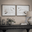 Moreton Set of 2 Swan Framed Prints 70cm