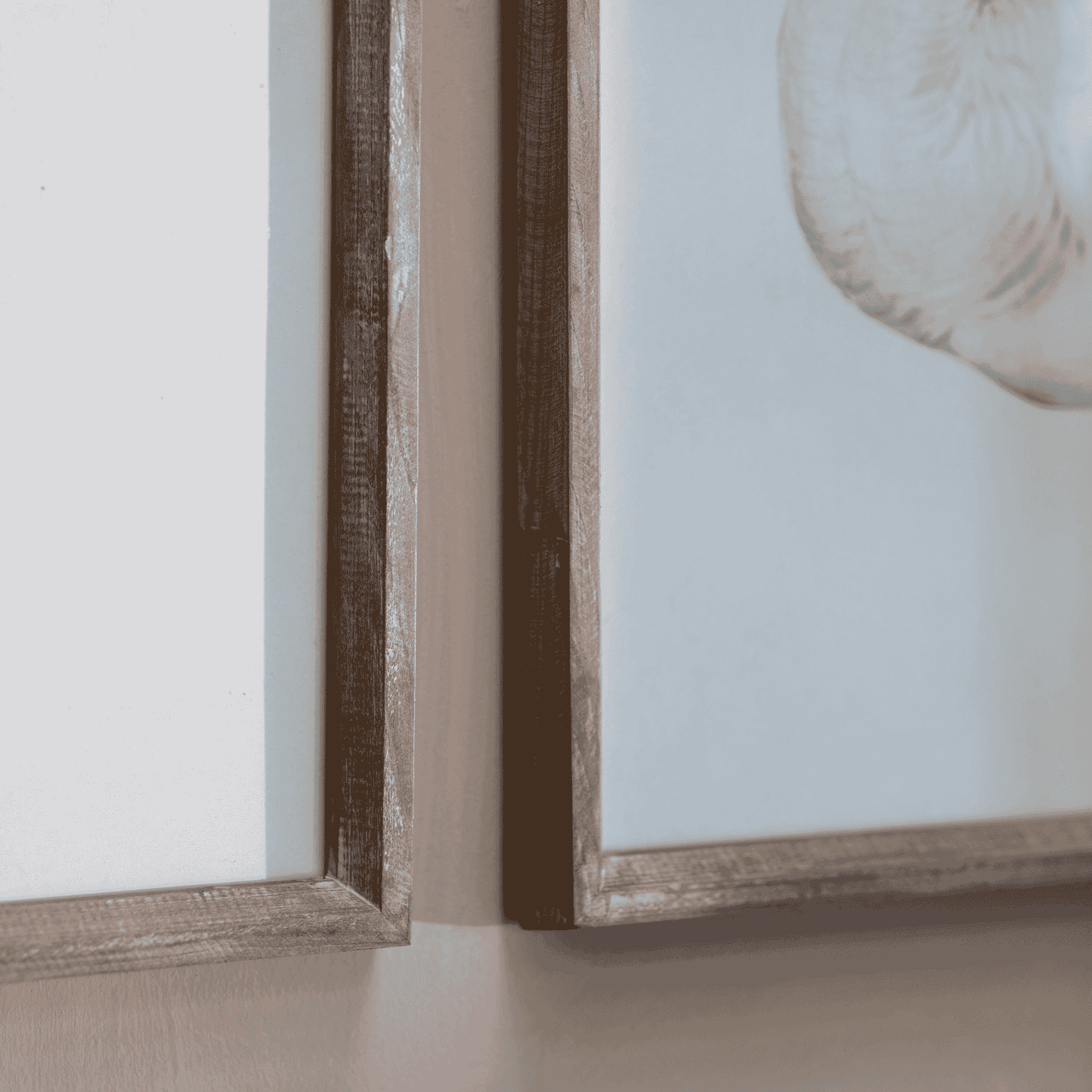 Moreton Set of 2 Swan Framed Prints 70cm-B